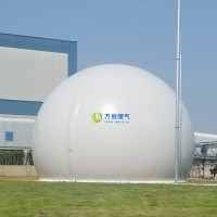 大白球雙膜儲氣柜WD68S